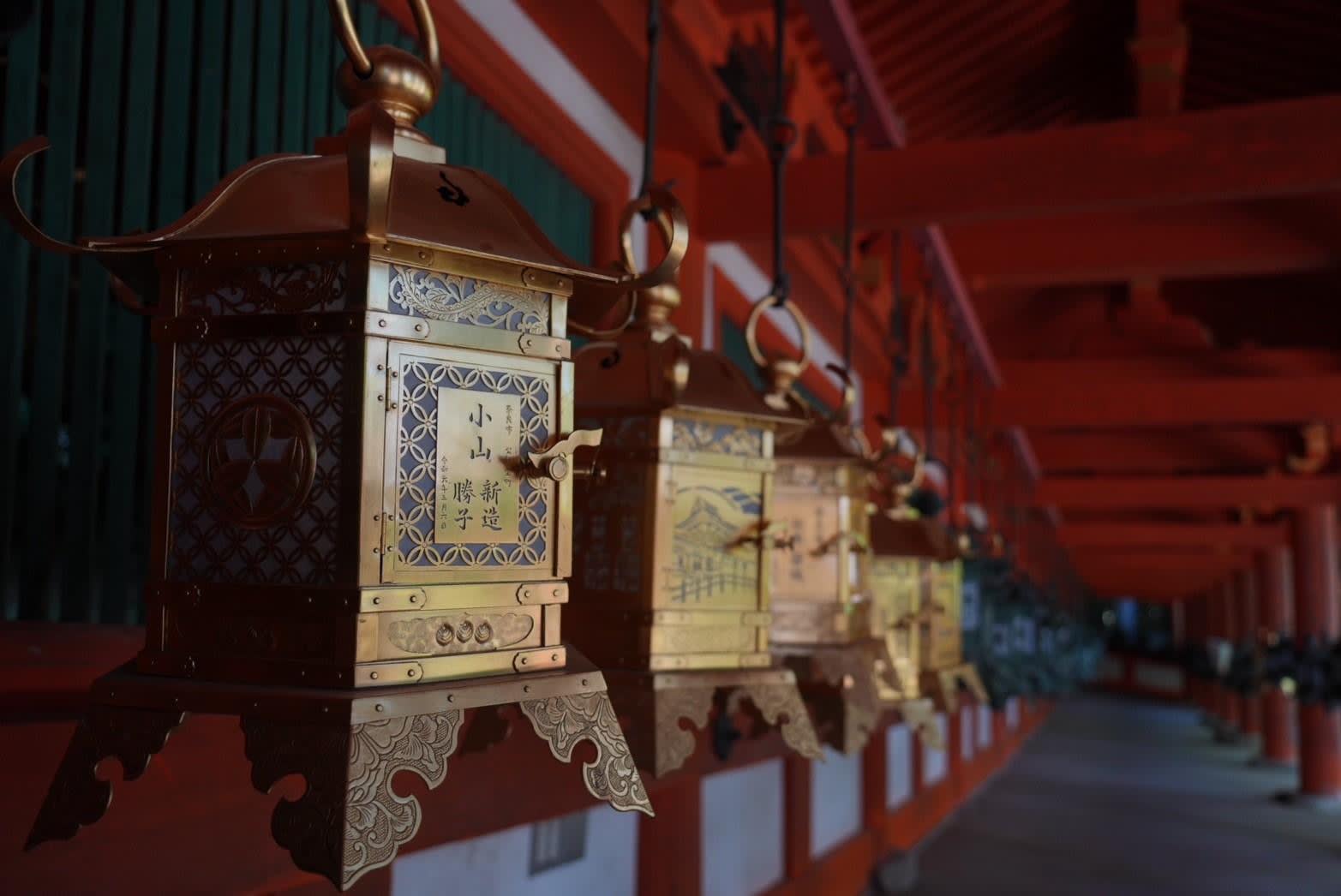 Nara Early Morning Deer Park & Todai-ji Walk (Beat the Crowds) 3