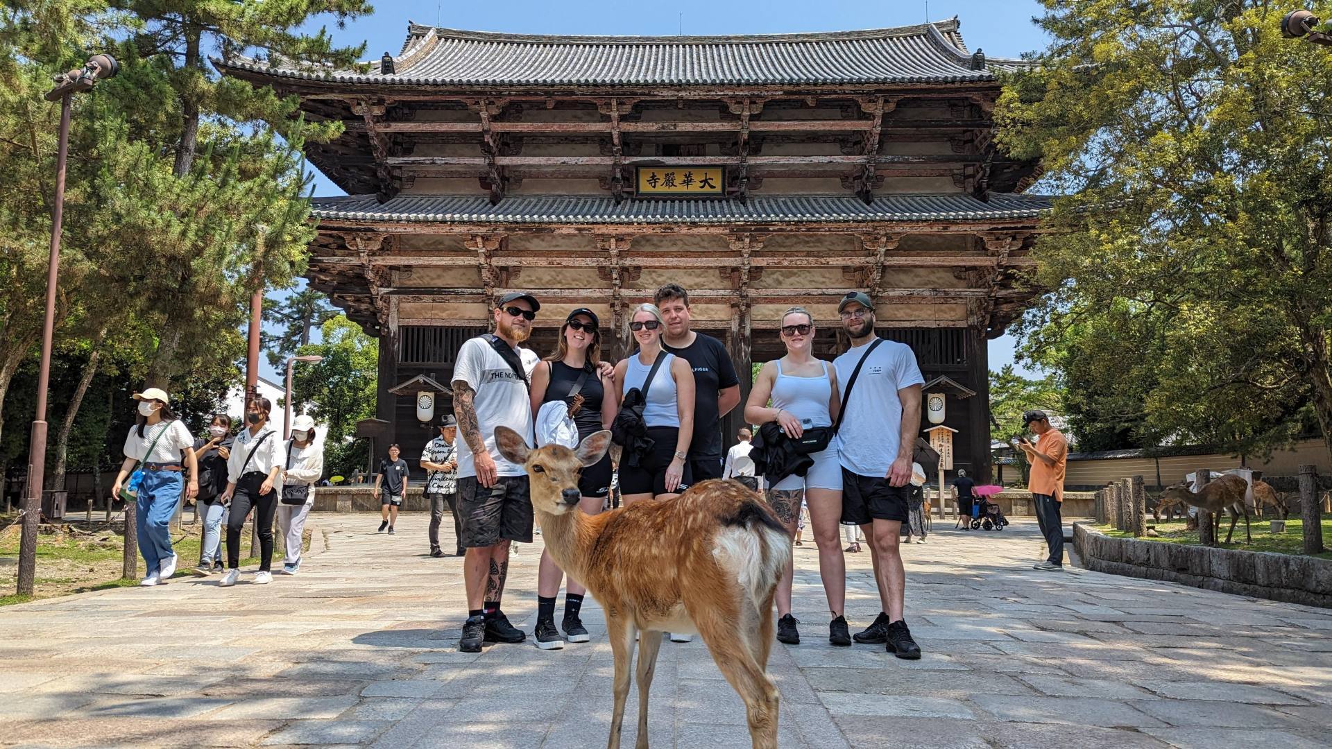 Nara E-Bike Tour: Todai-ji, Deer Park & Off-the-Beaten-Path Knife Shop 2