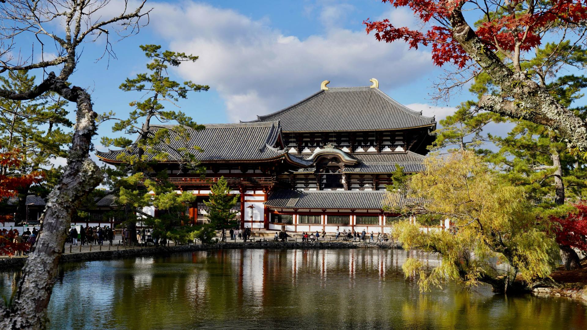 Nara in Three UNESCO Sites: Kofuku-ji, Todai-ji and Kasuga Taisha 3