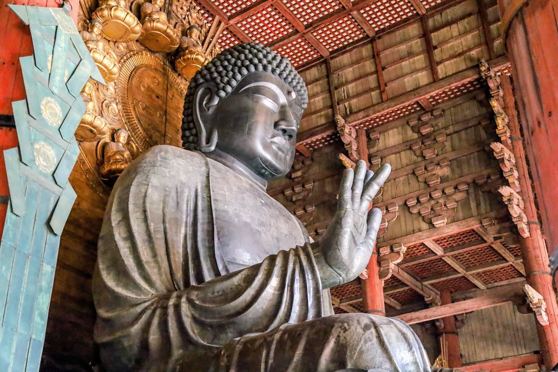 Nara Morning Trip from Kyoto by Coach: Kasuga Taisha, Deer Park and the Great Buddha 2