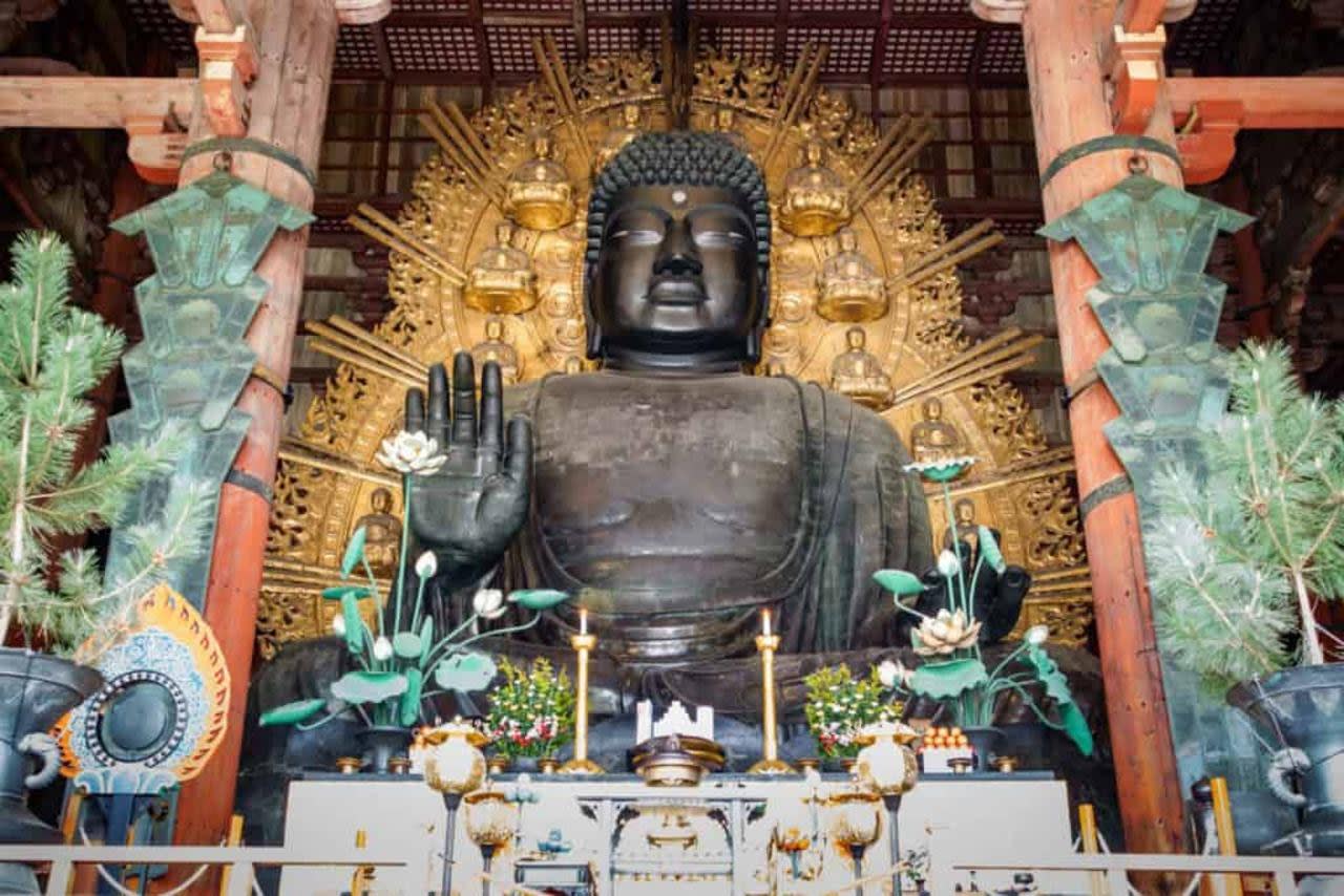 Nara First, Then Kyoto: Customisable Private Day Tour 3