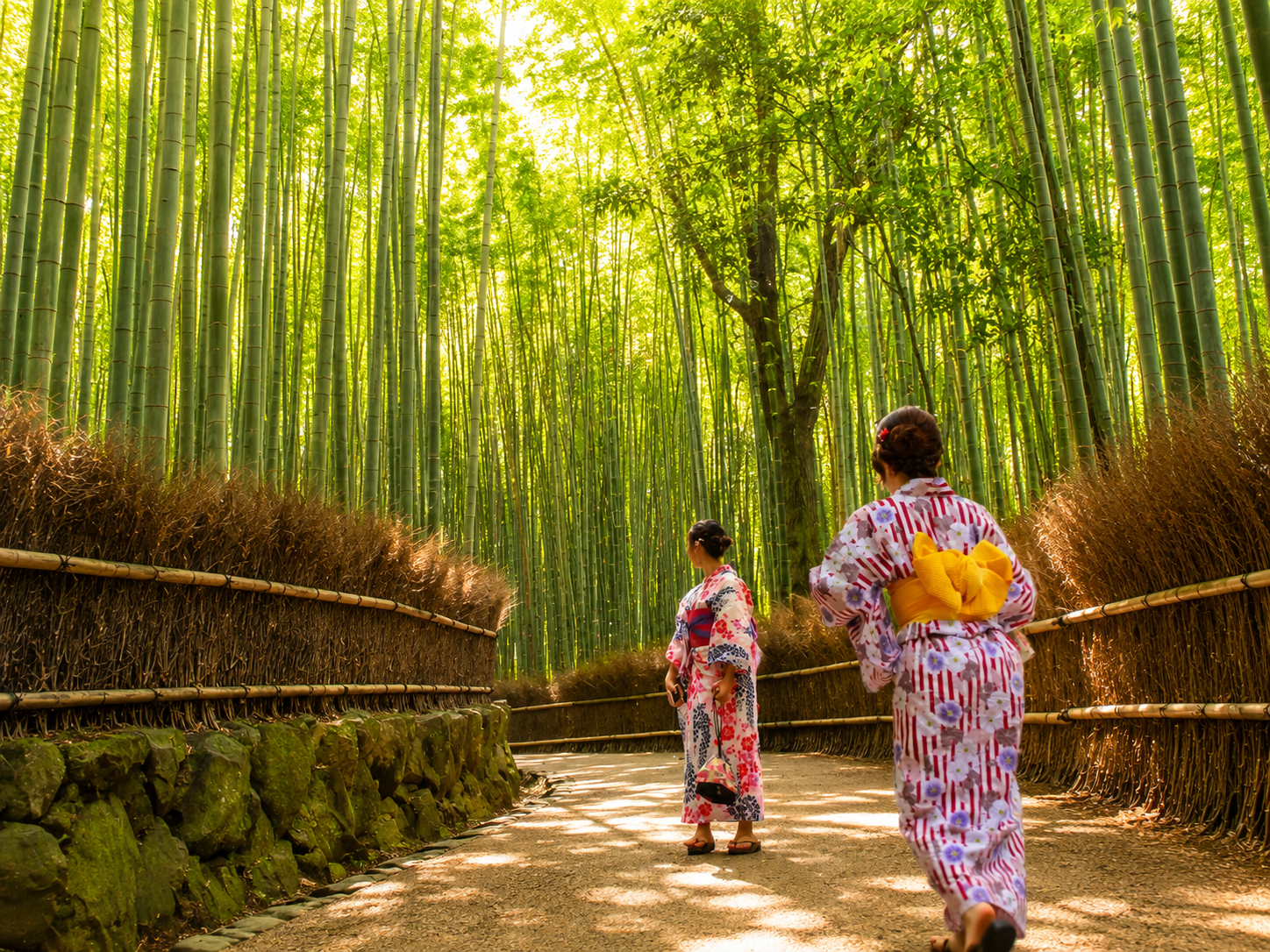 Shared Bus Day Tour: Arashiyama, Nara Deer Park and Fushimi Inari 2