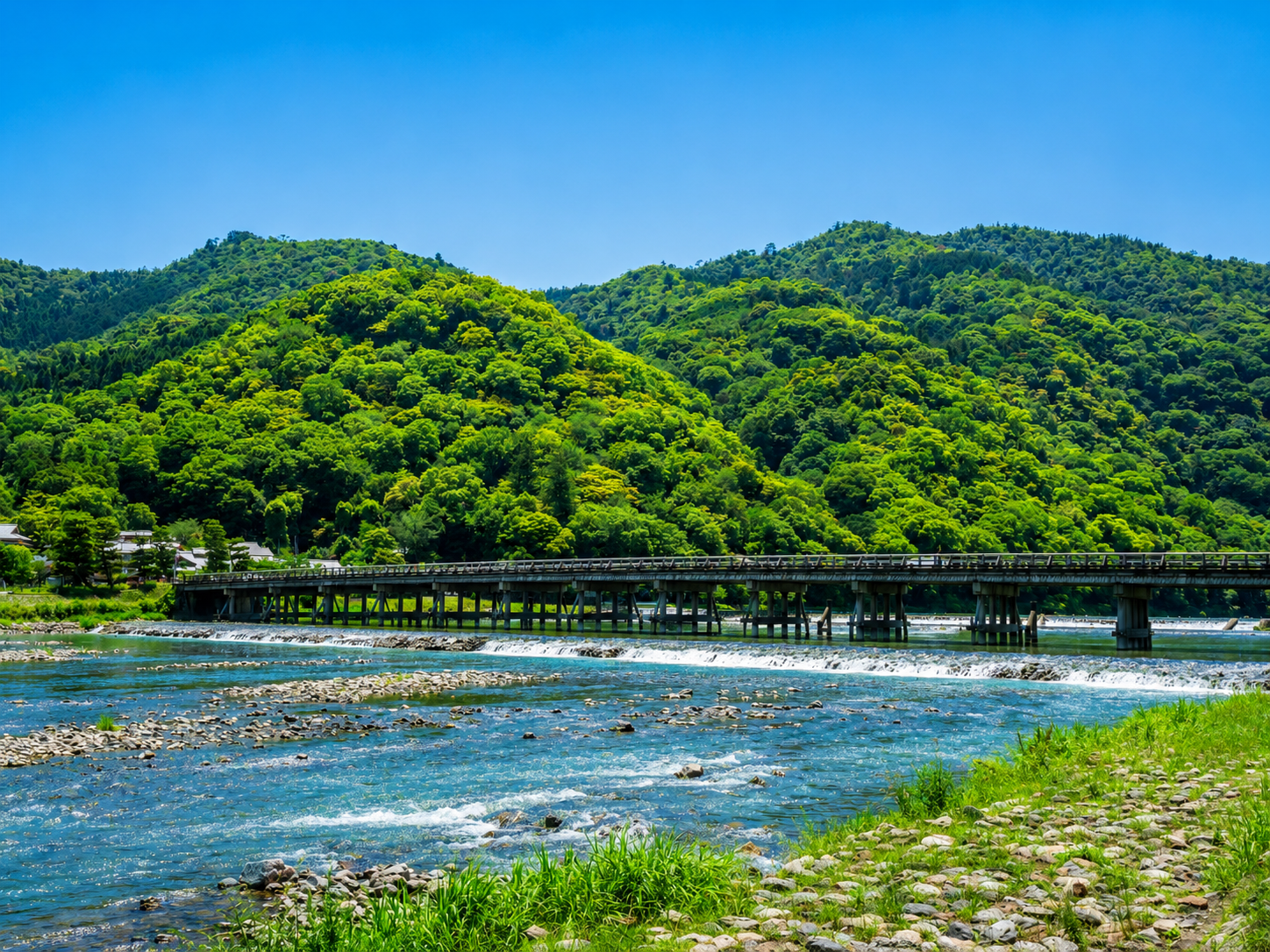 Shared Bus Day Tour: Arashiyama, Nara Deer Park and Fushimi Inari 3