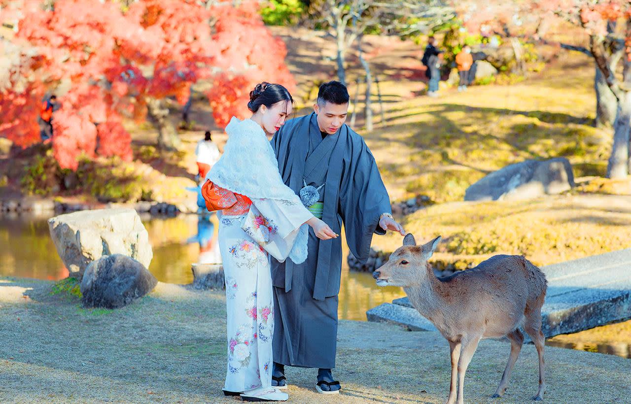 Nara Deer Park and Uji Tea Town: Full-Day Coach Trip from Osaka 3