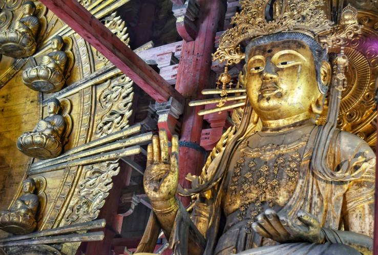 Early Morning Nara from Kyoto: Deer Park, Kasuga Taisha & the Great Buddha 3