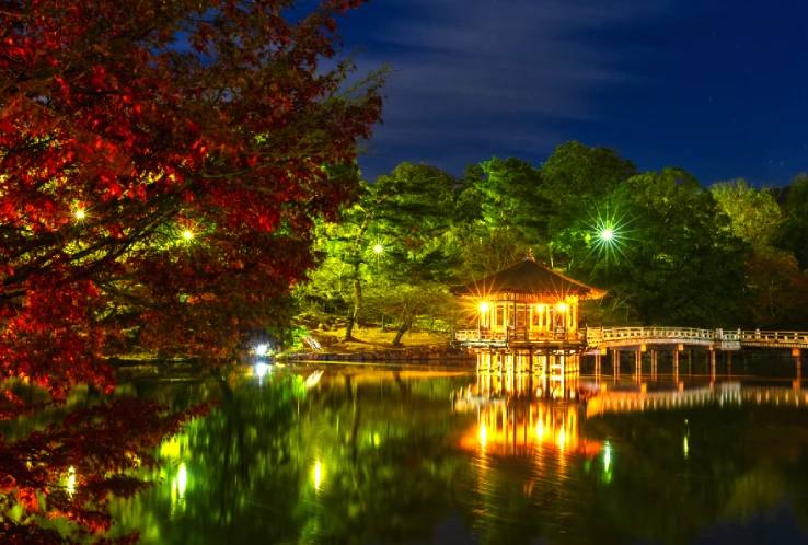 Nara After Dark: Evening Temple and Deer Park Walk from Osaka 3
