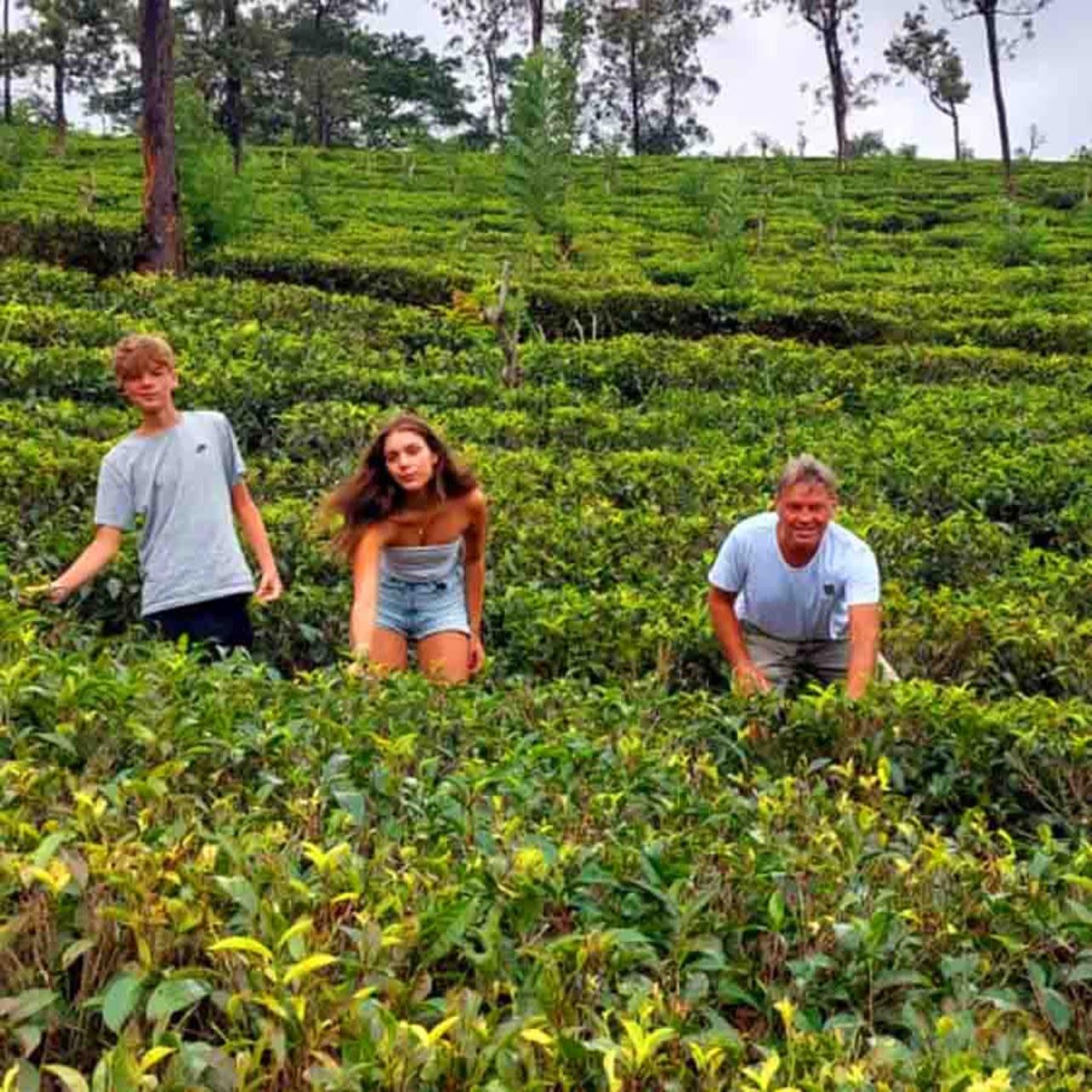 Kandy to Ella Transfer with Hill Country Stops and the Nanu Oya Train 2