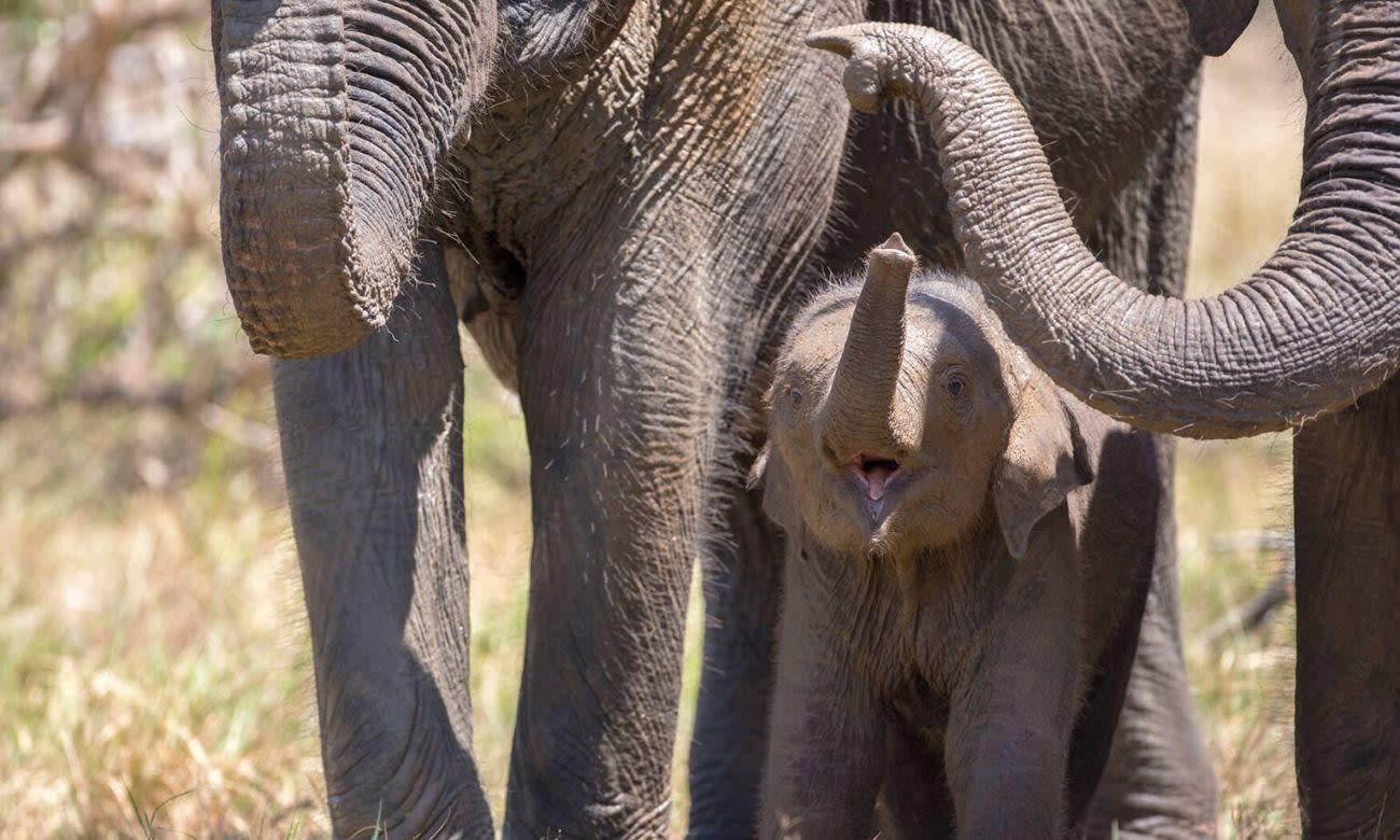 Yala National Park Private Jeep Safari Day Trip from Colombo 3