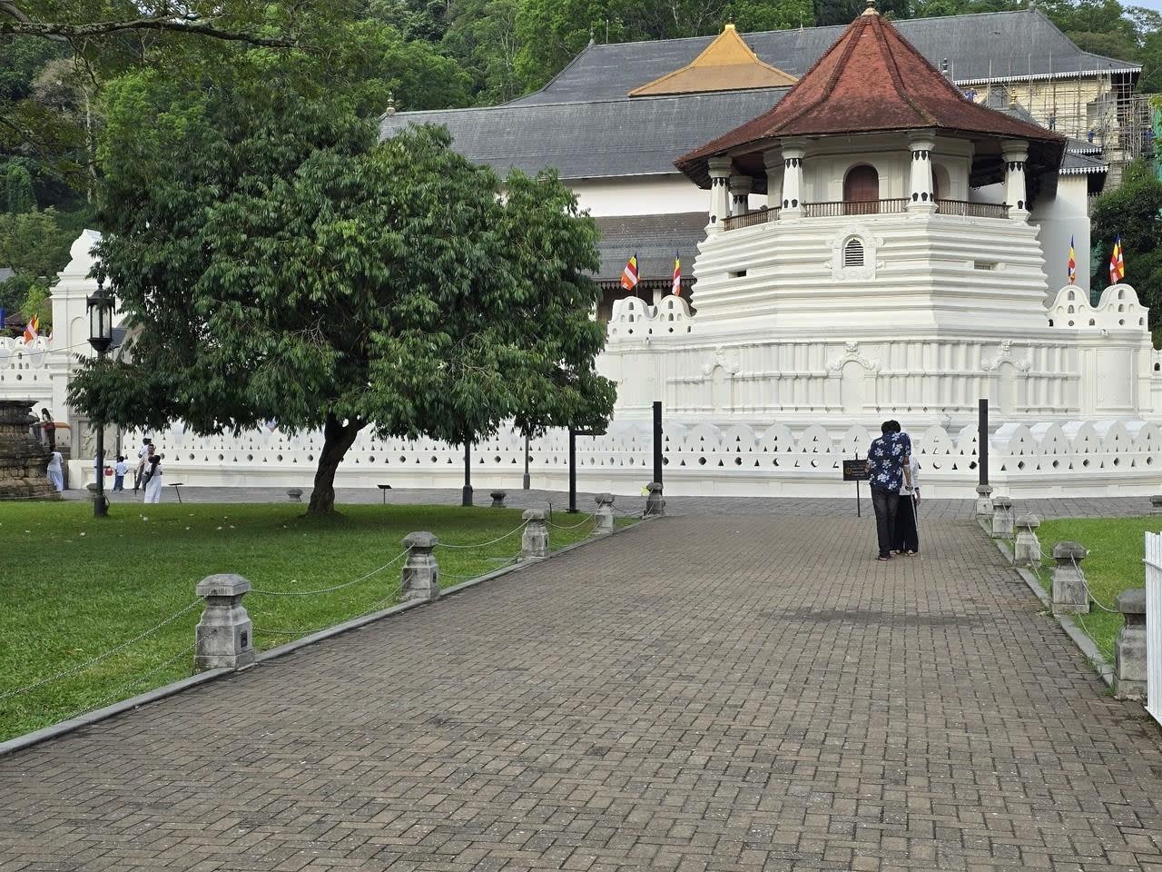 Kandy Day Trip from Colombo by Train with a Home-Cooked Lunch 2