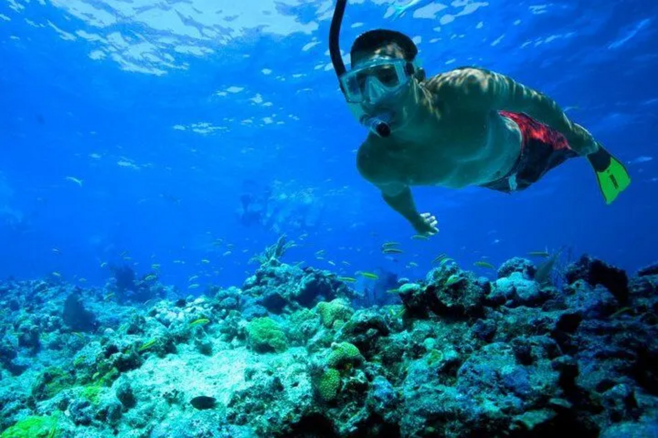 Colombo Port City Snorkelling Session for Beginners 3