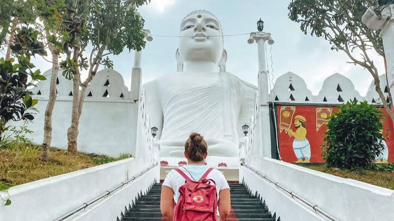 Private Car Transfer from Kandy to Ella, Mirissa, Colombo and Beyond 3