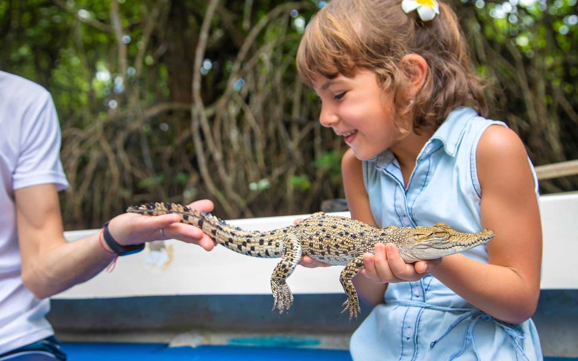 Bentota Full Day Trip from Negombo with Madu River Safari and Turtle Hatchery 2