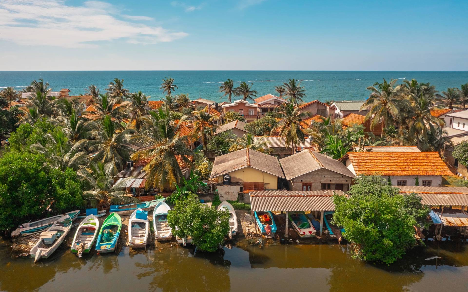 Negombo Lagoon and Mangrove Boat Excursion with Dutch Canal and Fish Market 2
