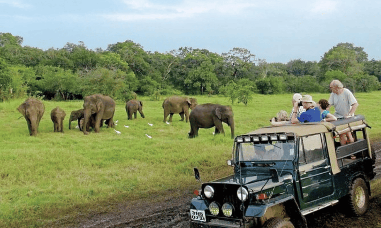 Private Udawalawe Elephant Safari Day Trip with Transit Home Visit 2