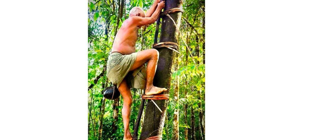 Kandyan Eco Village and Spice Trail Half-Day Tour from Kandy 2