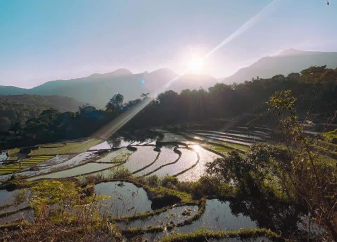 Heeloya Village Full-Day Tour from Kandy with Organic Farming and Lunch 2