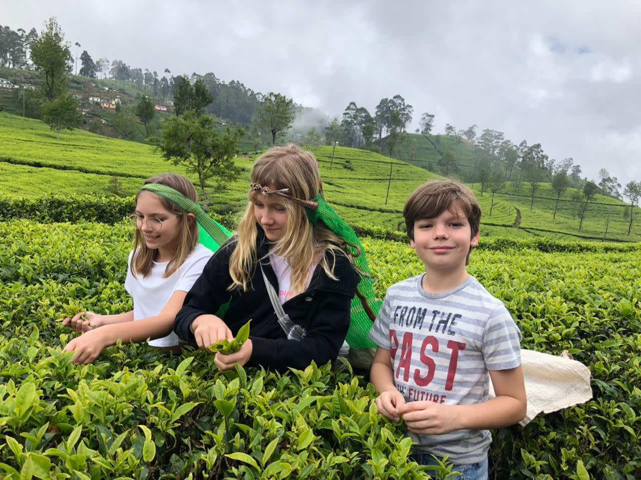 Heeloya Village Full-Day Tour from Kandy with Organic Farming and Lunch 3