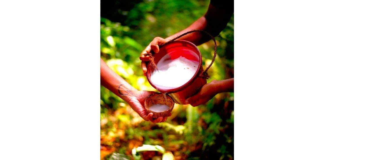 Kandyan Village Tour from Kandy with a Rice and Curry Cooking Class 3