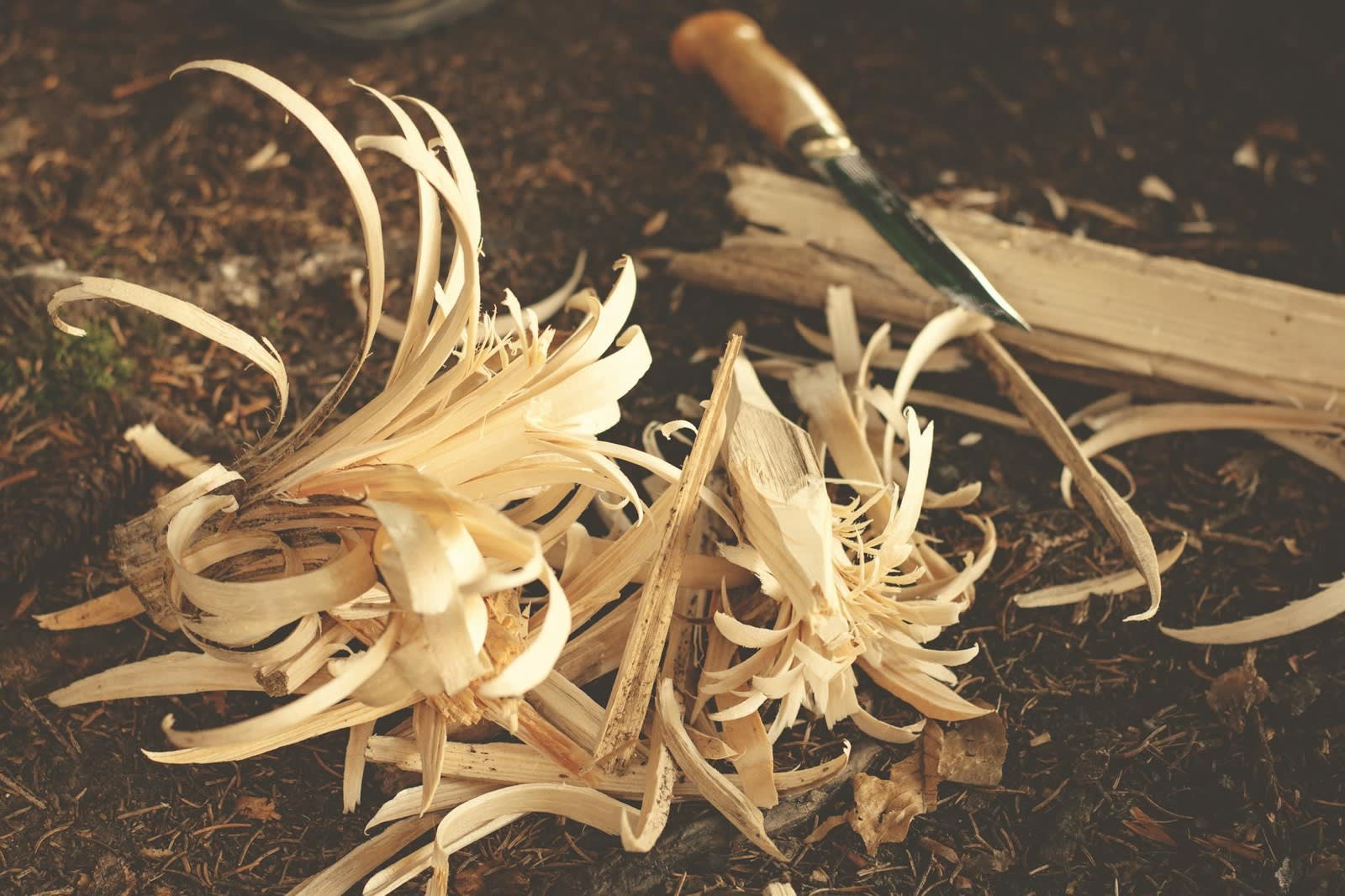 One-Hour Kandy Wood Carving Workshop with Tuk-Tuk Transfers 3