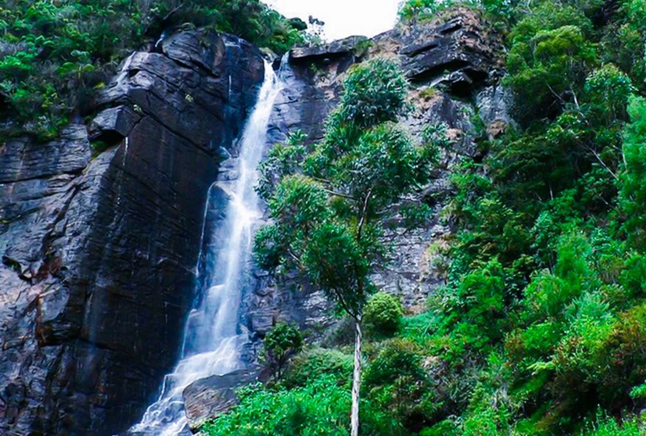 Nuwara Eliya Full-Day Tour from Kandy with Ramboda Falls and Lunch 2