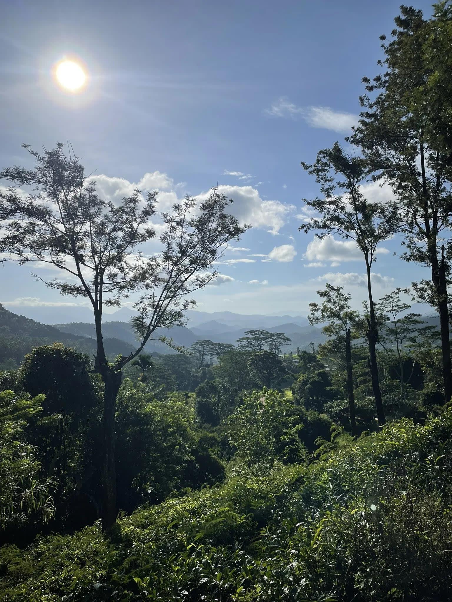 Pekoe Trail Stage 1 Guided Hike from Kandy: Hanthana to Galaha 2
