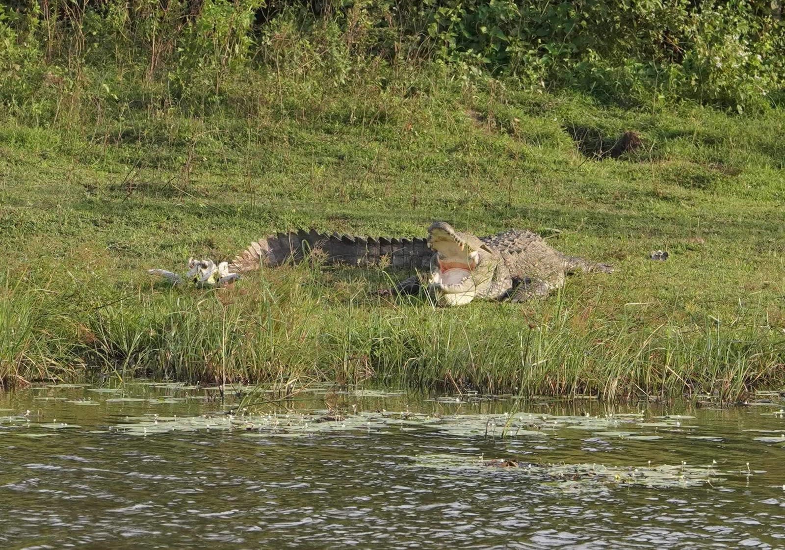Yala Safari from Ella with a Drop at Tangalle or Hiriketiya 3