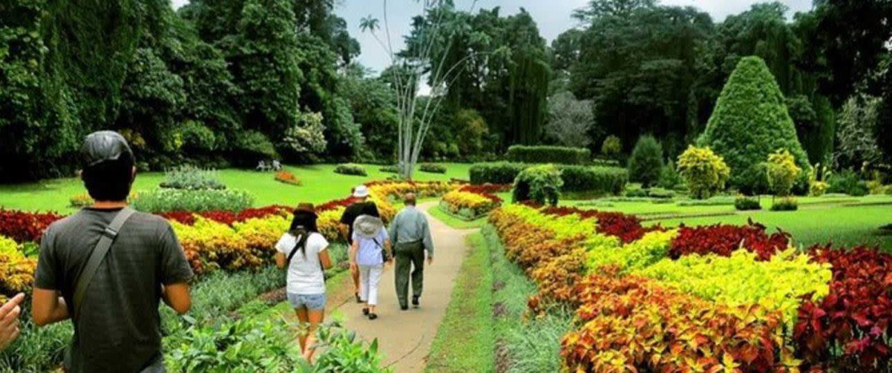 Nuwara Eliya to Ella Guided Transfer with Gregory Lake, Seetha Amman and Hakgala 2