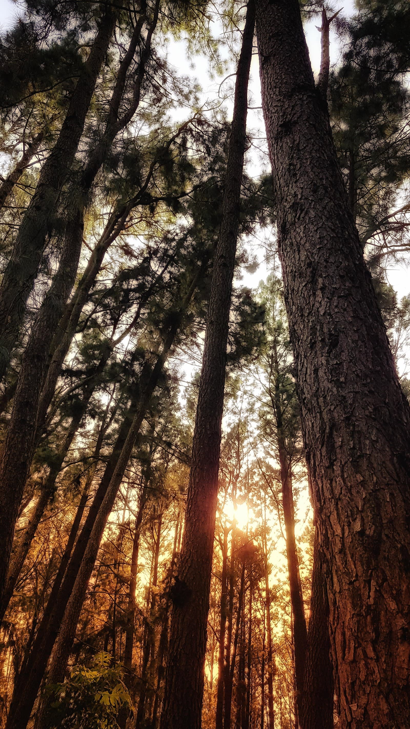 Horton Plains Sunrise Trek with a Transfer On to Haputale or Ella 3