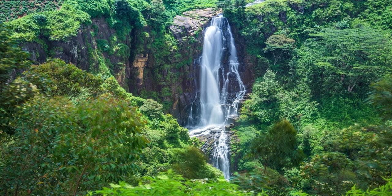 Private Horton Plains Tour from Ella with the Scenic Train to Ohiya 2