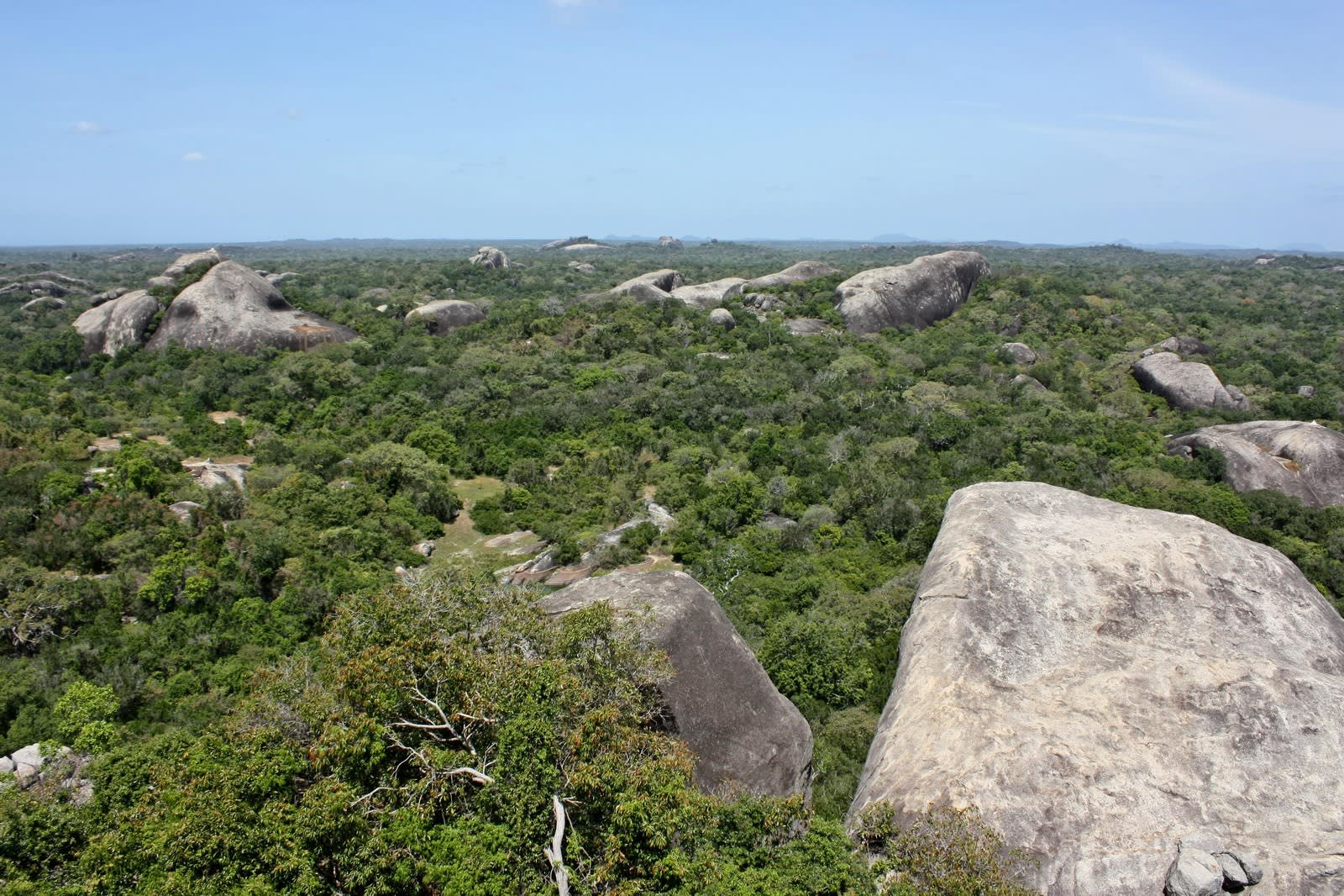 Ravana Falls, Diyaluma and a Yala Safari: Full Day from Ella 3