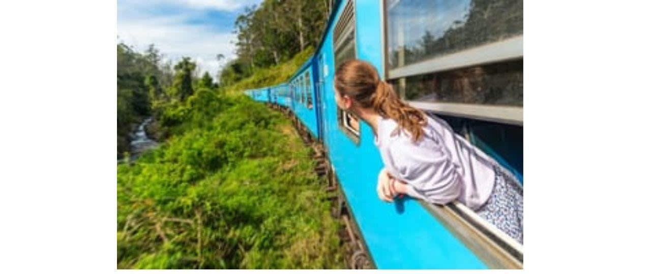 Ella Essentials Day Tour: Little Adam's Peak and the Nine Arch Bridge 3
