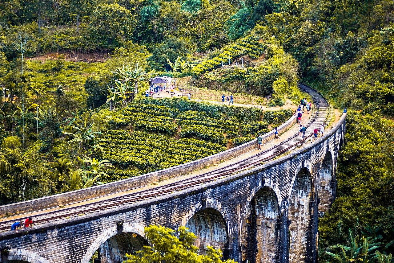 Nuwara Eliya to Yala Private Transfer via Ella and the Nine Arch Bridge 3