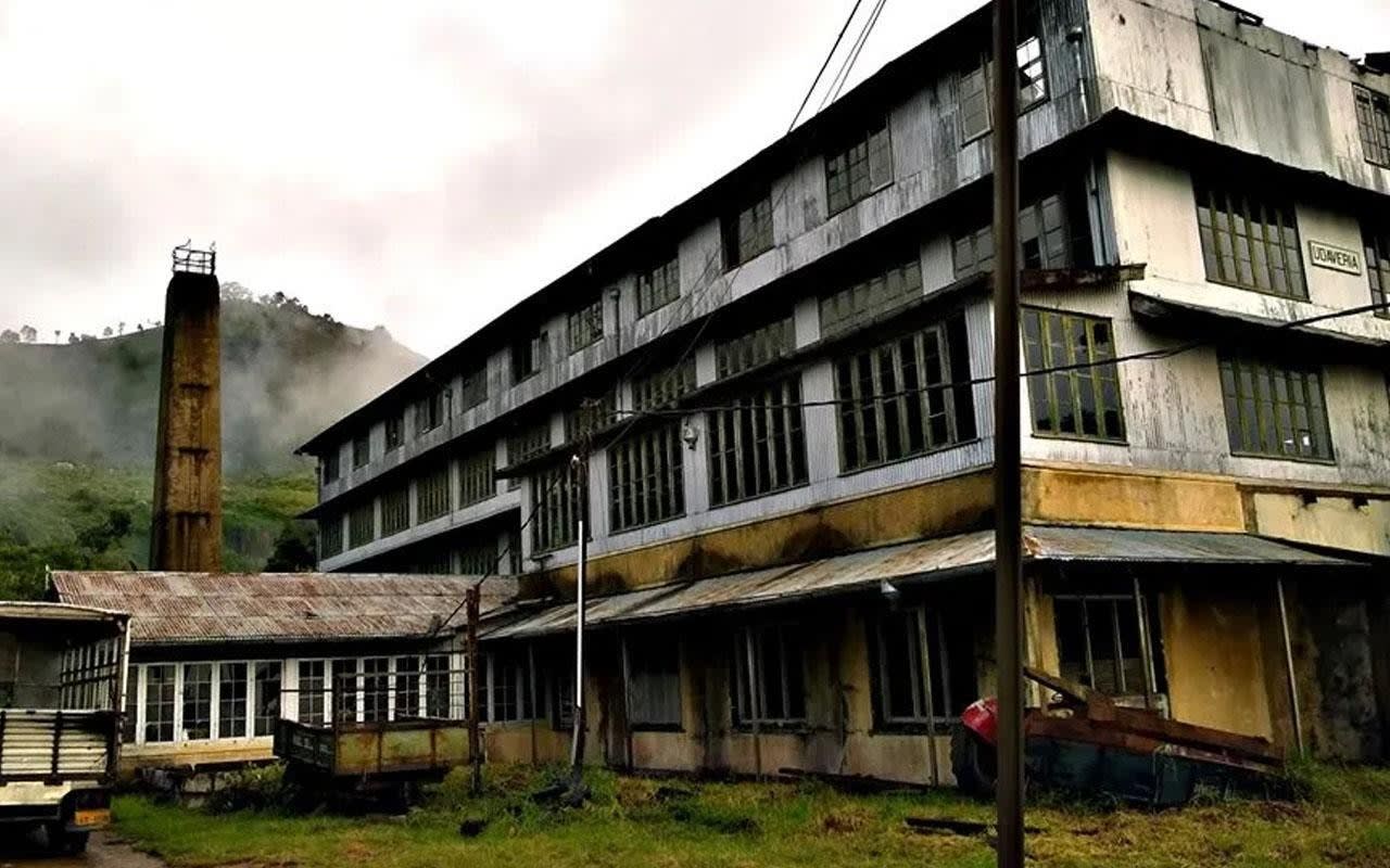 Pekoe Trail Stage 11 Guided Hike: Horton Plains to Udaweriya by the Devil's Staircase 2