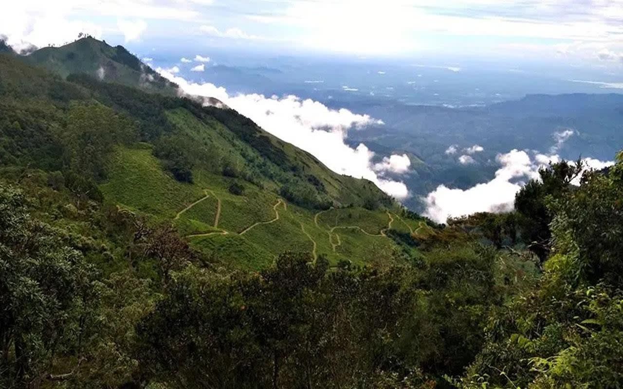 Pekoe Trail Stage 11 Guided Hike: Horton Plains to Udaweriya by the Devil's Staircase 3