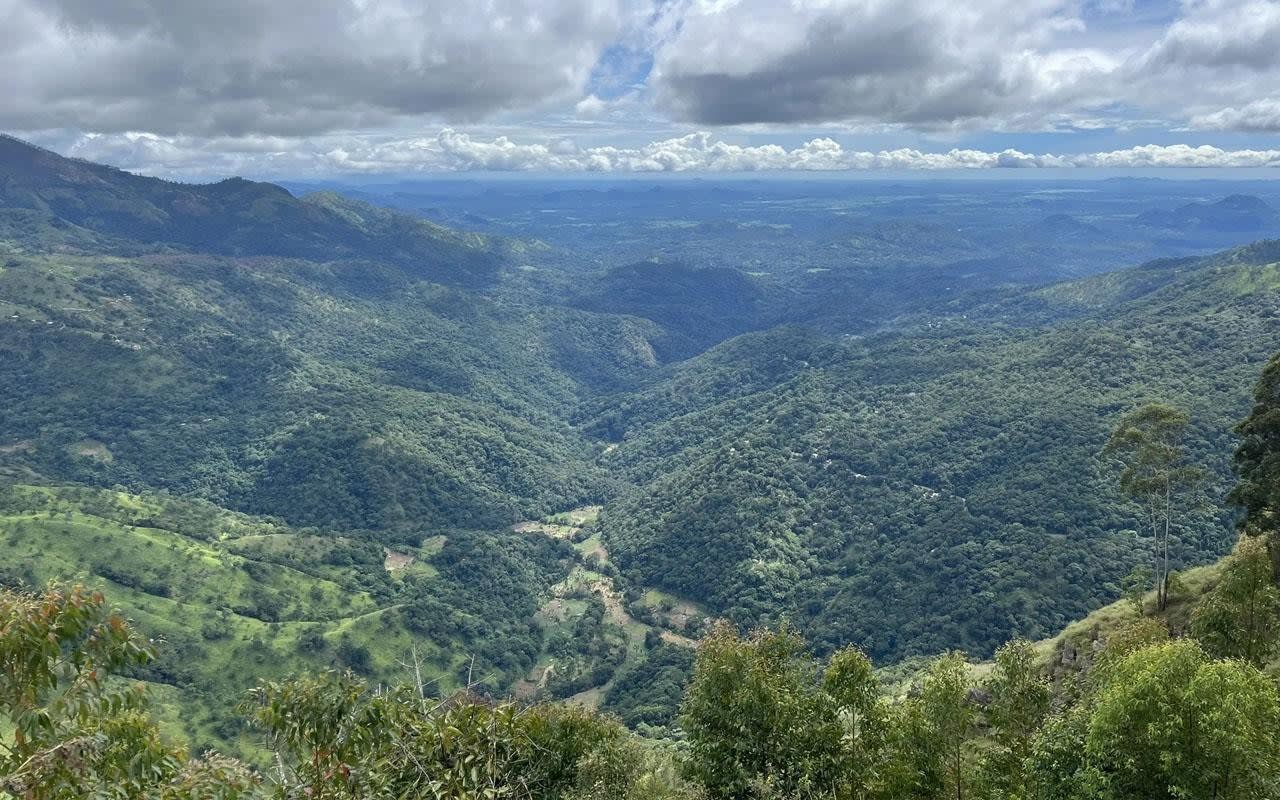 Pekoe Trail Stage 15 Guided Hike: Makulella to Ella through the Tea Estates 3