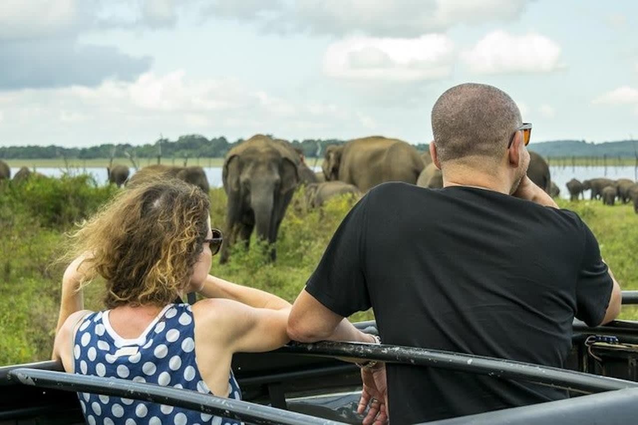 Two Parks in a Day: Private Yala and Udawalawe Double Safari from Ella 3