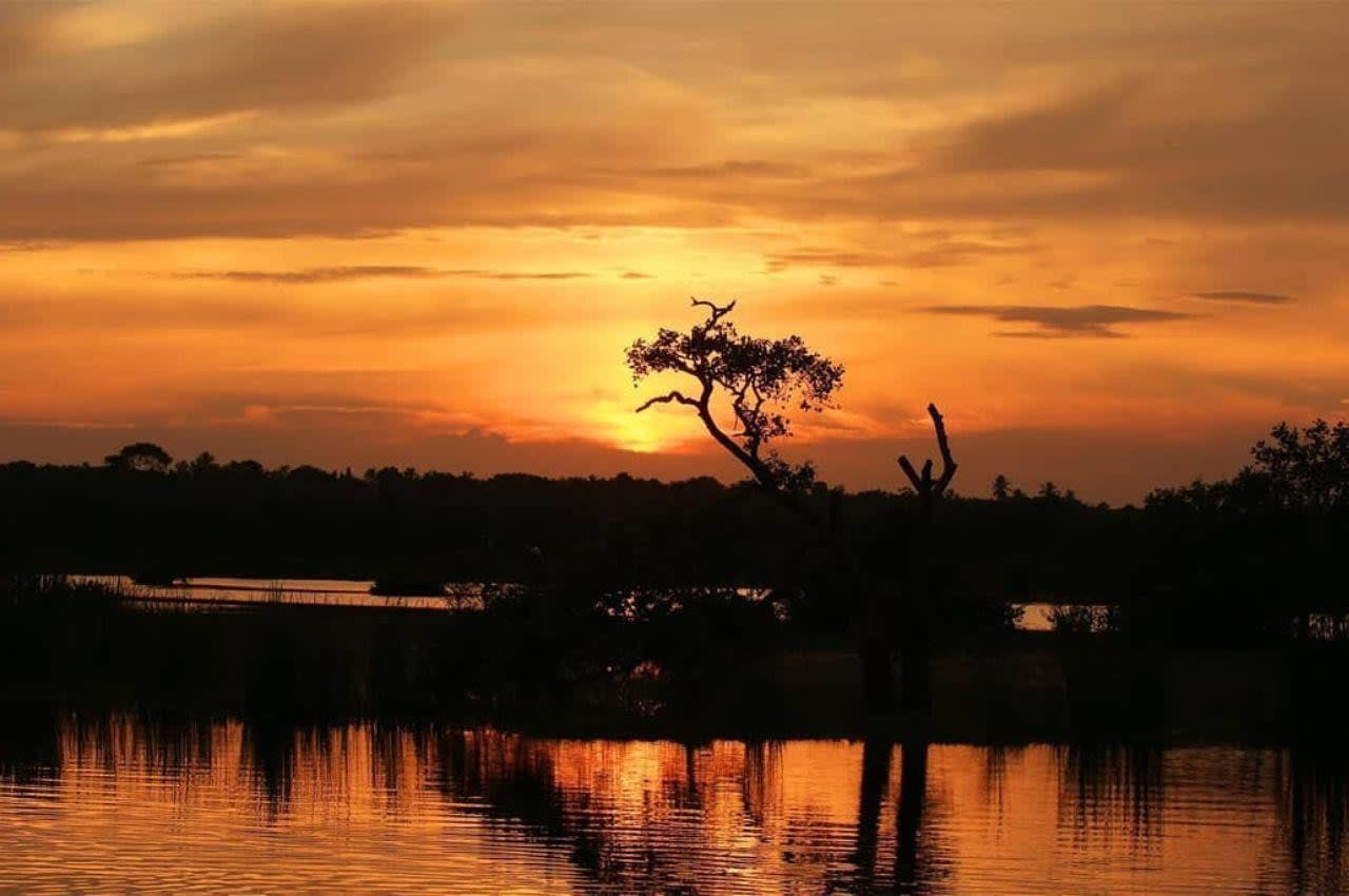 Kalametiya Bird Sanctuary Boat Safari from Ella with Coastal Transfers 2