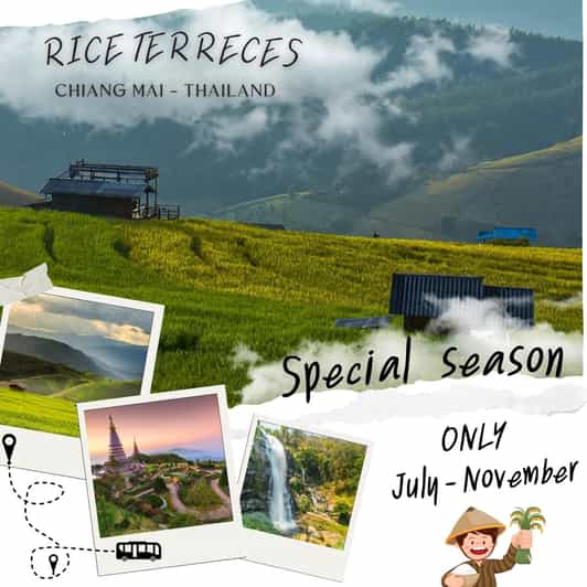 Chiang Mai : Pa Bong Piang Rice Terraces & Doi Inthanon