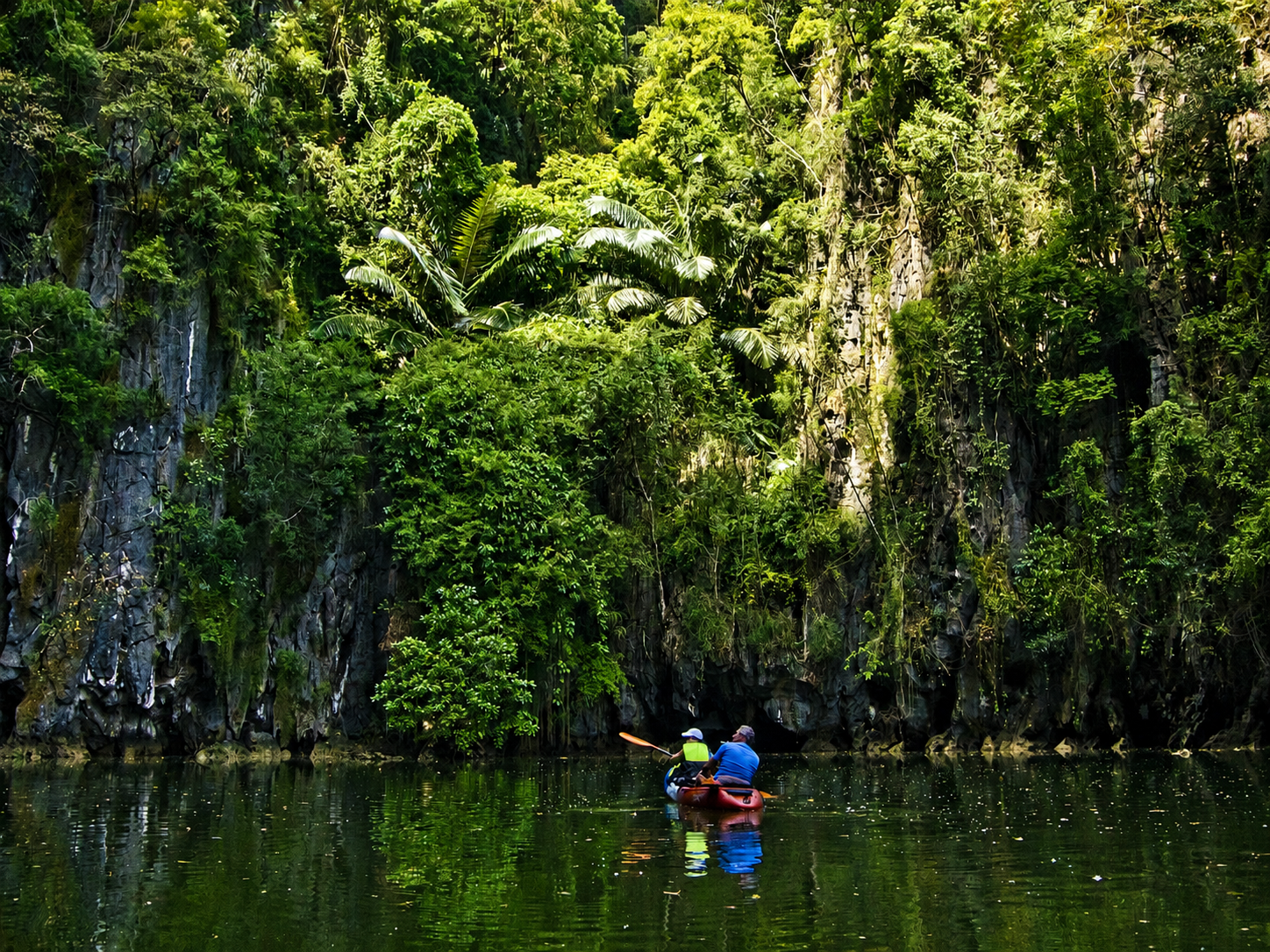 Paddle the Ao Thalane Mangroves: Half-Day Kayak Escape