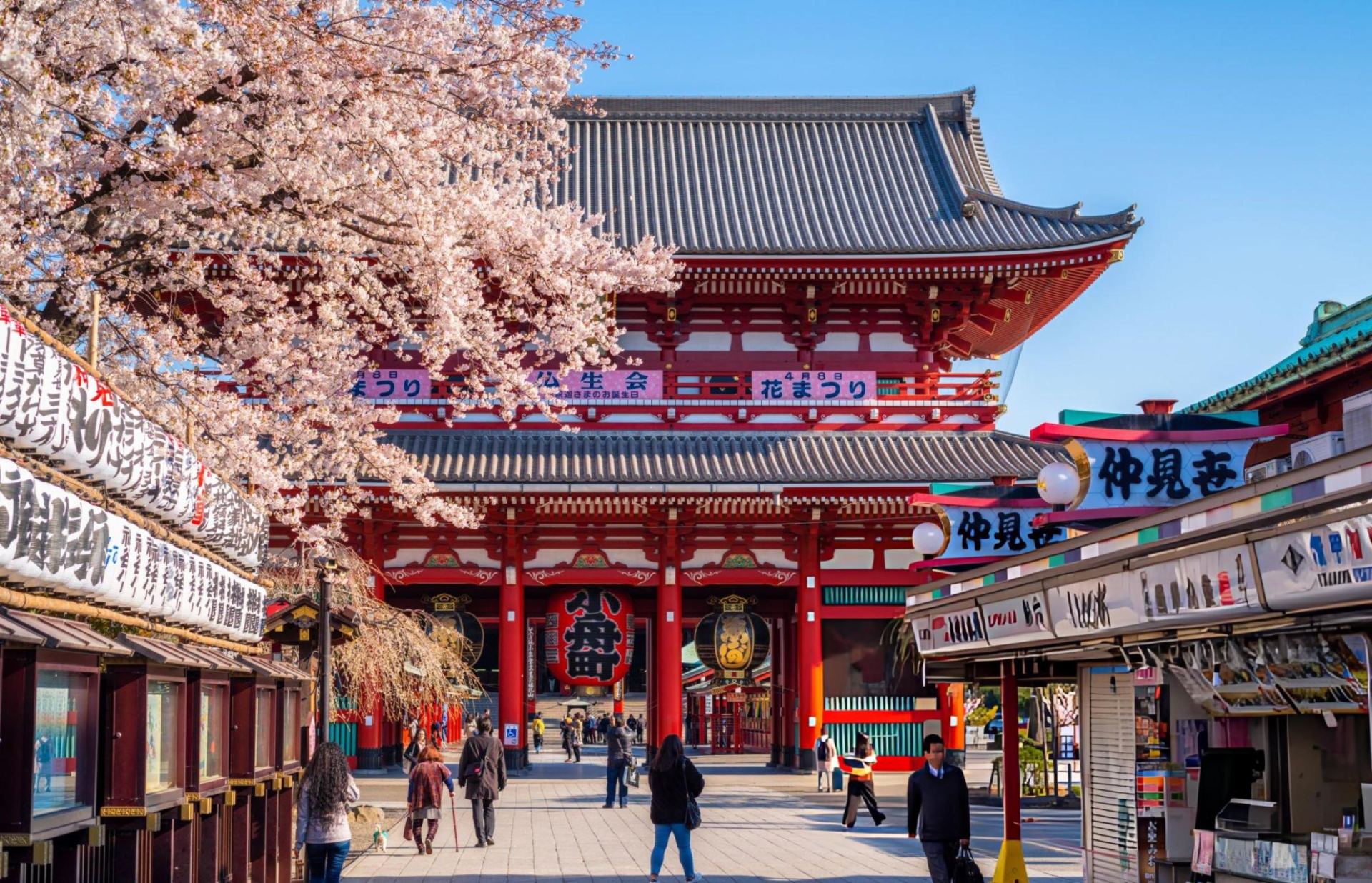 Tokyo in a Day: Asakusa, Yanaka, the Palace and Harajuku with a Local