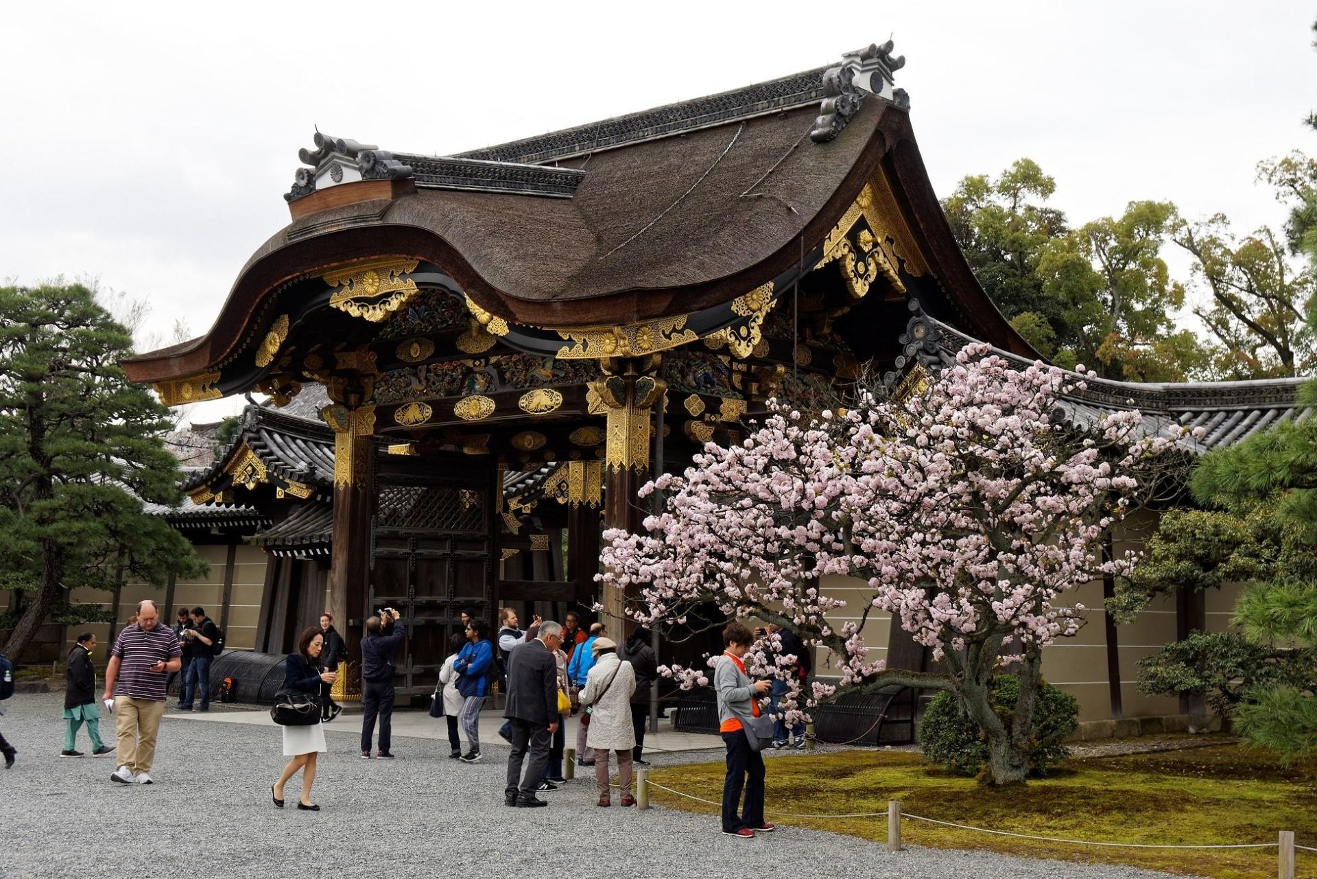 Kyoto: Imperial Palace & Nijo Castle Guided Walking Tour