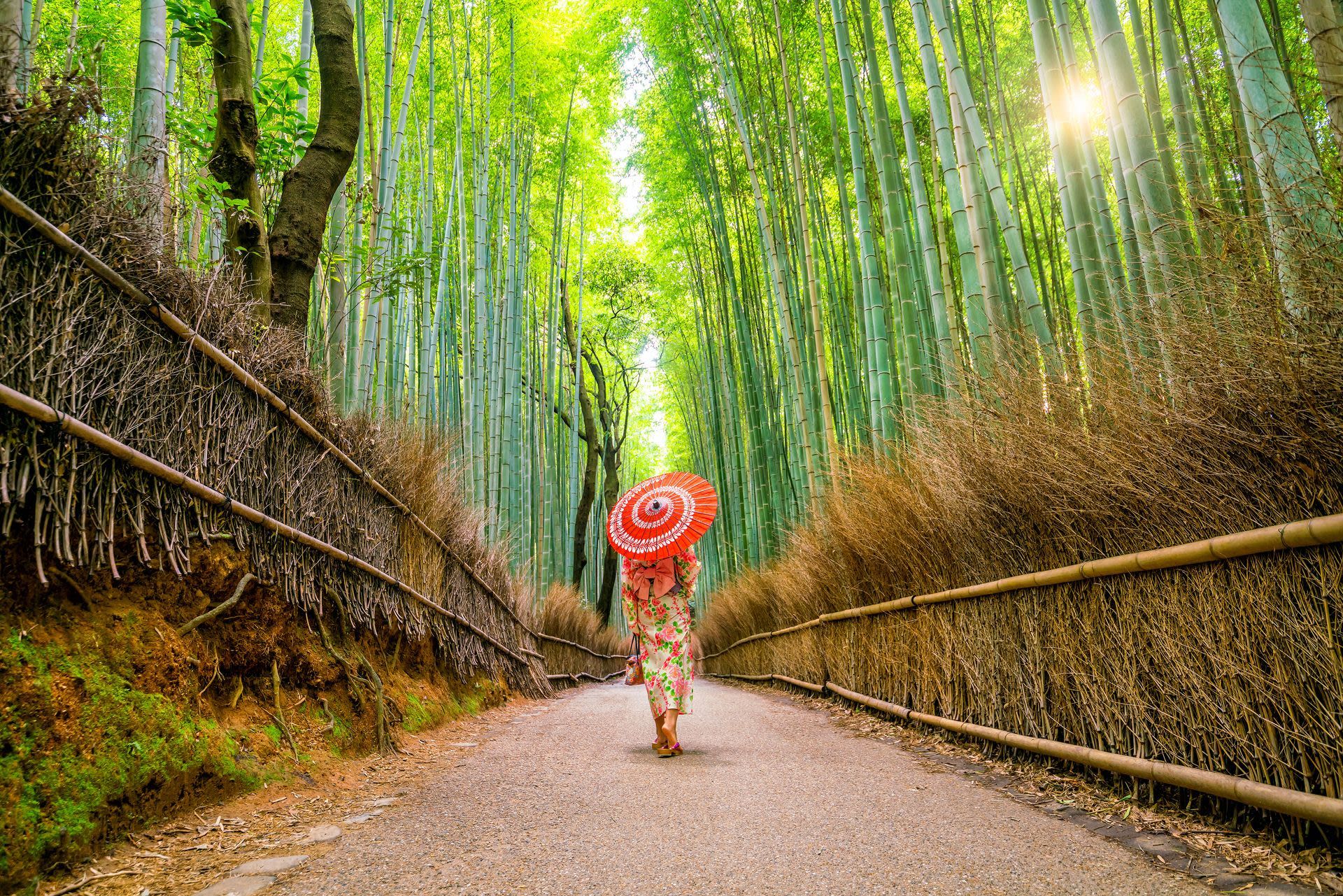 Design your KYOTO Custom Tour