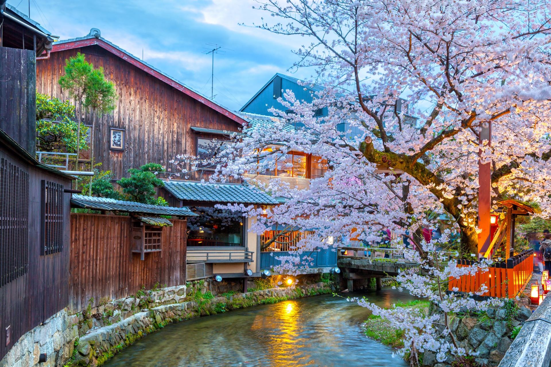 Evening Food Tour of Kyoto's Pontocho & Gion Shirakawa