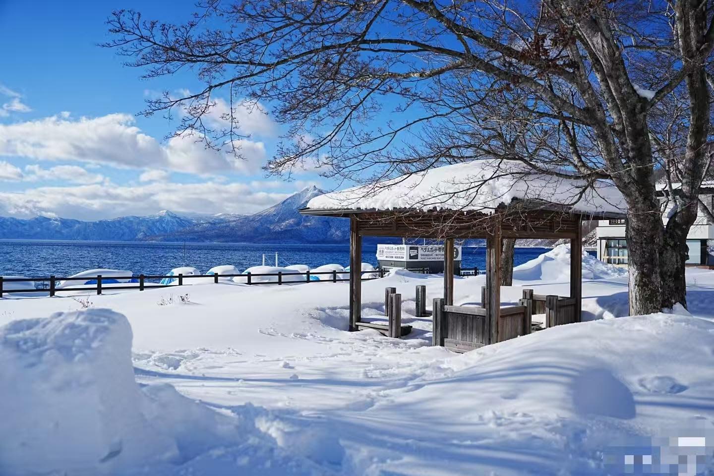 Lake Shikotsu and Jozankei: Small-Group Spring and Summer Escape