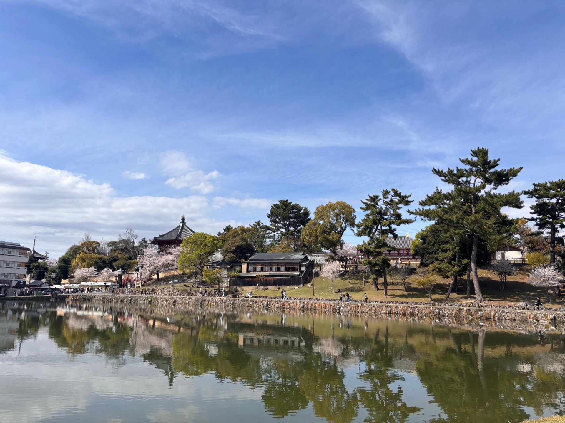 Nara Sake Walk: Tastings, Specialty Shops and Back Streets