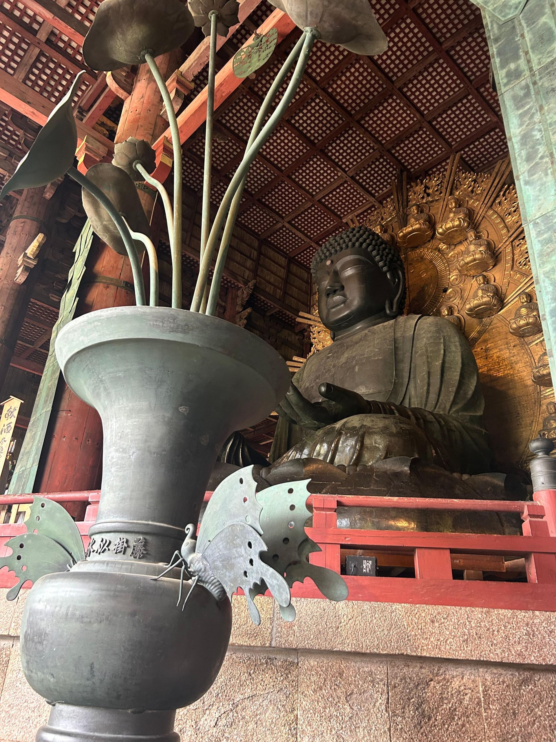 Nara Walking Tour: Sacred Deer, the Great Buddha and Naramachi Mochi