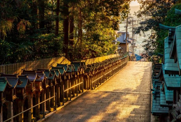 Halloween Night on Mount Ikoma: Hozanji Temple and Cable Car from Osaka