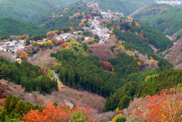 Mount Yoshino Autumn Foliage Day Trip by Blue Symphony Train from Osaka