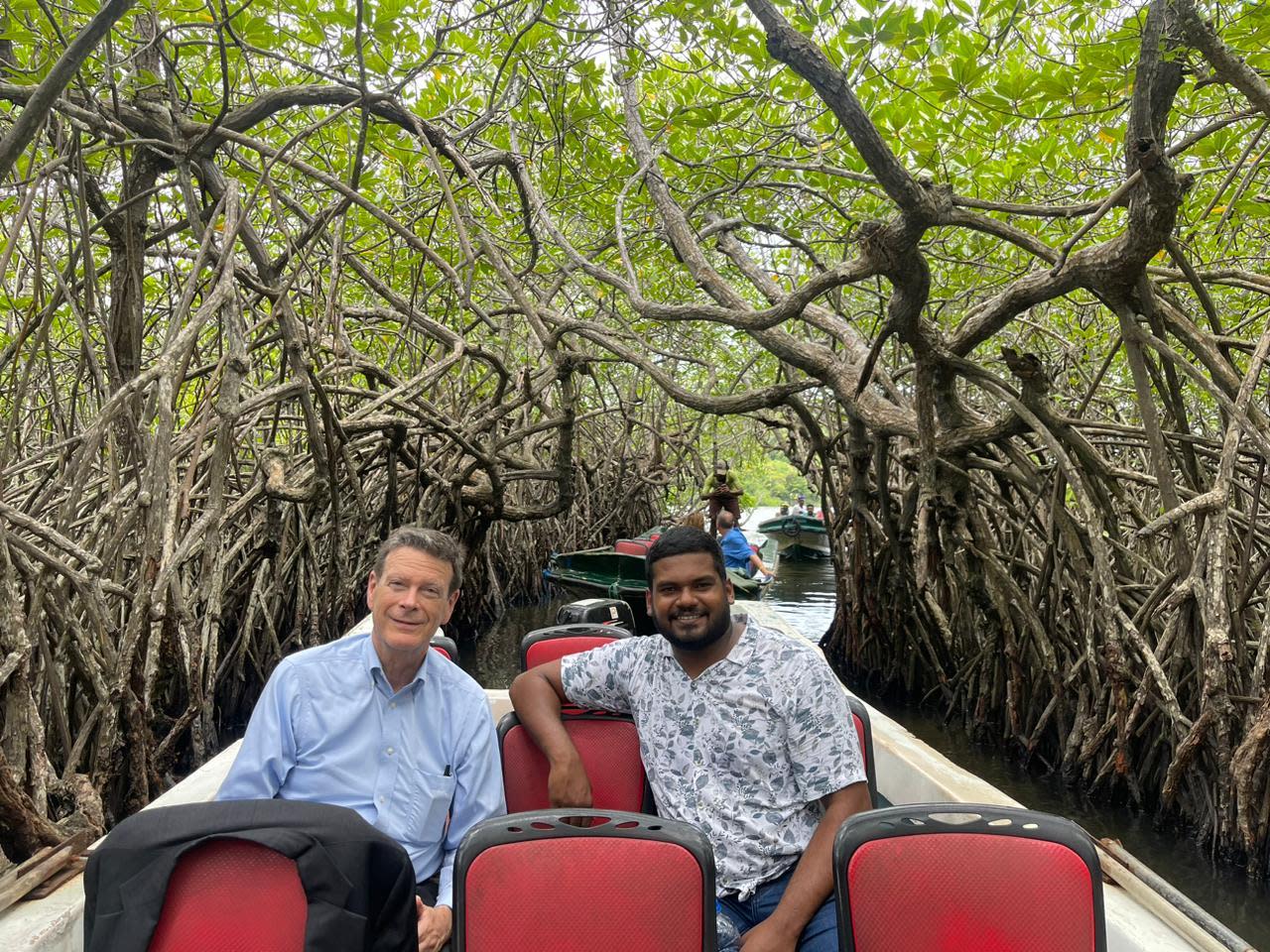 Galle Fort, Madu River Boat Safari and Turtle Hatchery Day Tour from Colombo