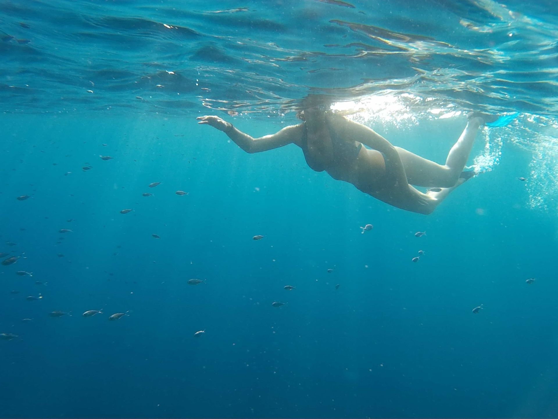 Colombo Port City Snorkelling Session for Beginners